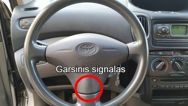 Garso signalo tikrinimas