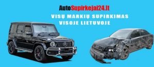 skubus automobilio pardavimas