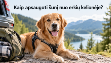 Kaip apsaugoti šunį nuo erkių kelionėje?